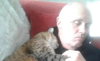 这只猫是天使吗?亲人浪喵手牵手陪在手术后老人(图1)