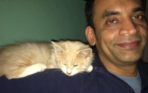 老爸硬气委婉地拒绝养猫十个月后却 你有这样的老爸吗?(图2)