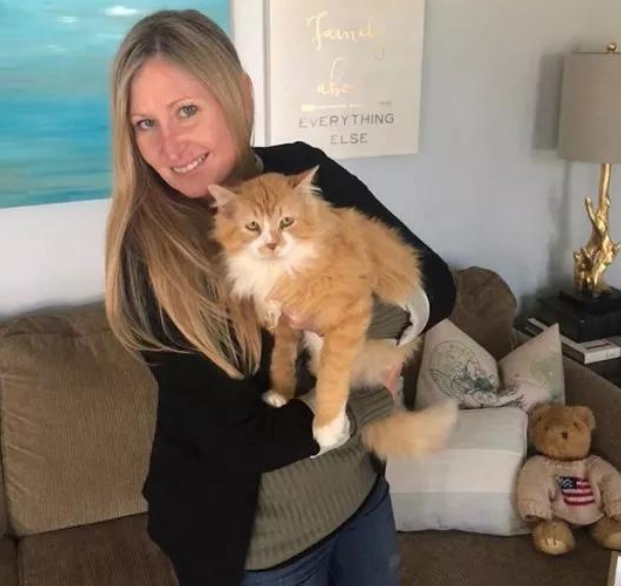 猫咪徒步行走20公里 只为又回到主人身边 想不到带给的却也安乐死！(图5)