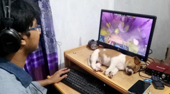 有另一个沉迷于游戏打游戏的铲屎官怎么办啊?猫咪和狗狗的态度已经有所不同!(图1)