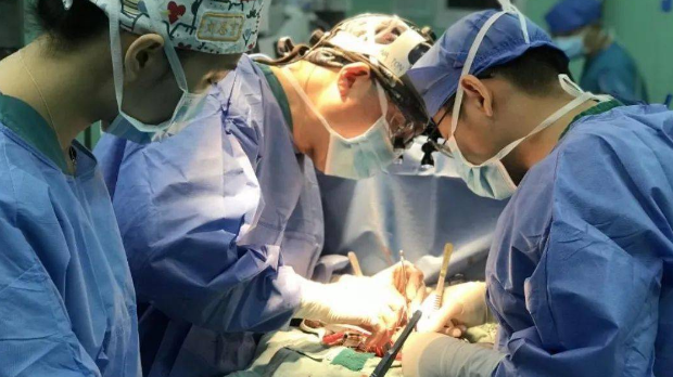 五旬大爷被猫抓后反复低烧不退 竟因心脏被细菌感染(图1)