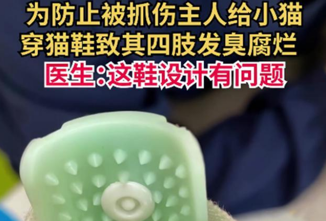 猫鞋设计不合理 变得虐猫工具！(图1)