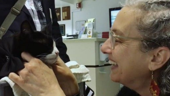 街猫一夕之间成治疗猫每隔一天搭推车巡房(图2)