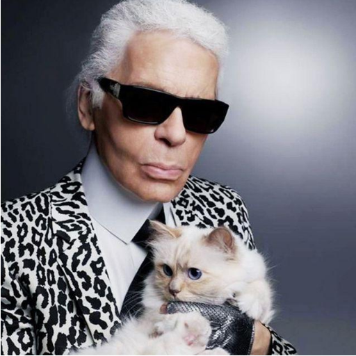香奈儿“老佛爷”的爱猫 继承主人21亿遗产 如今的生活咋样啊？(图1)