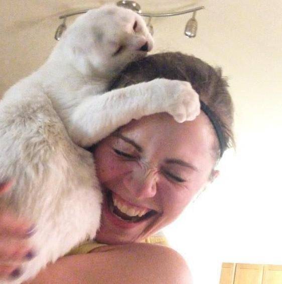 猫咪没了双耳 被原主人抛弃过 却彻底治愈了患有焦虑症的她(图6)