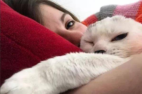 猫咪没了双耳 被原主人抛弃过 却彻底治愈了患有焦虑症的她(图8)