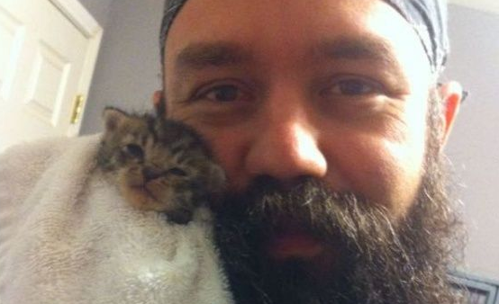 大胡子暖男救援落魄猫用胡子记录它们成长(图1)