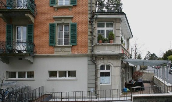 摄影师发现瑞士奇景每家也有猫咪唯一专属的猫楼梯(图2)