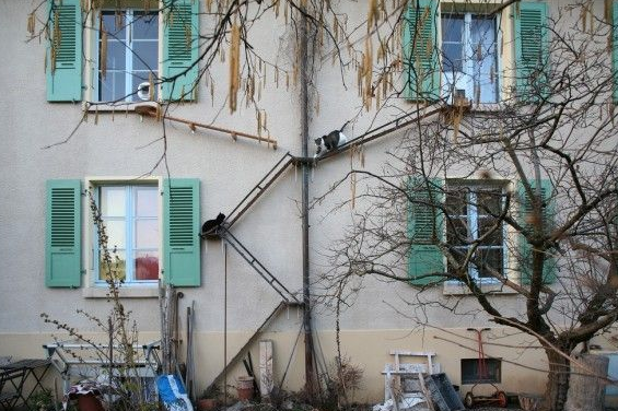 摄影师发现瑞士奇景每家也有猫咪唯一专属的猫楼梯(图1)