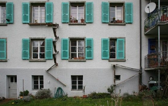 摄影师发现瑞士奇景每家也有猫咪唯一专属的猫楼梯(图3)