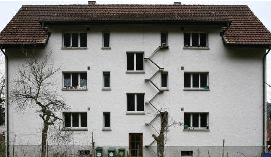 摄影师发现瑞士奇景每家也有猫咪唯一专属的猫楼梯(图4)