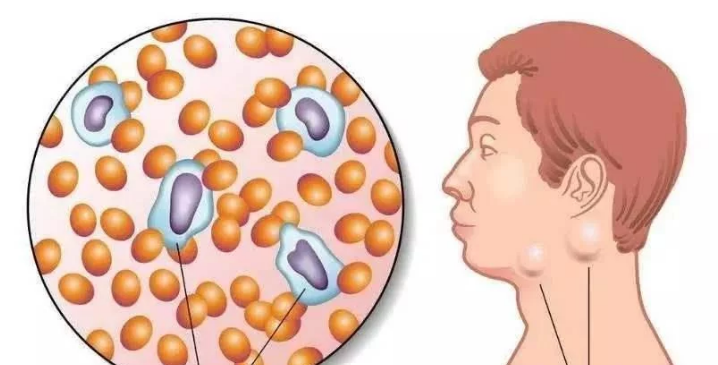 撸猫需很谨慎！9岁女童“撸猫”沾上怪病 医生：十分严重或可致失明(图1)