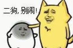 小奶猫顽皮搞恶作剧 主人刚想要打断 猫妈再次出现了(图3)