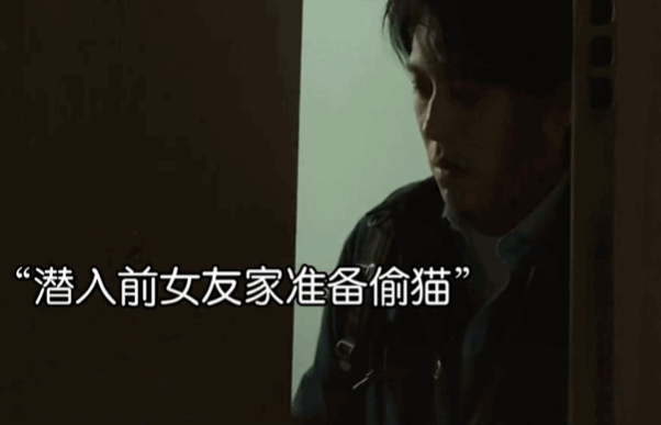 男子深夜奸污偷猫 被前任的现任抓个正着 情侣提分手后抚养权该归谁？(图4)