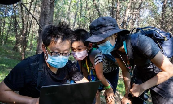 北京15岁女孩用红外相机捕捉刺猬、蒙古兔、野猫等城市精灵的身影(图2)