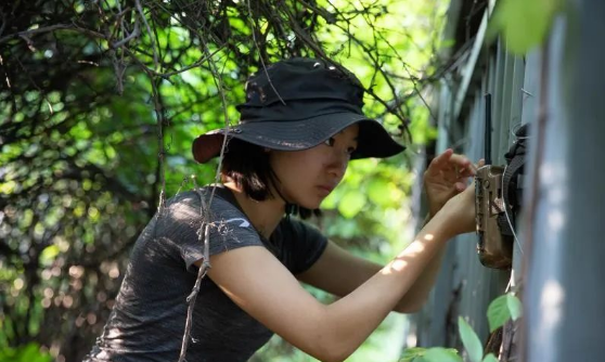 北京15岁女孩用红外相机捕捉刺猬、蒙古兔、野猫等城市精灵的身影(图5)