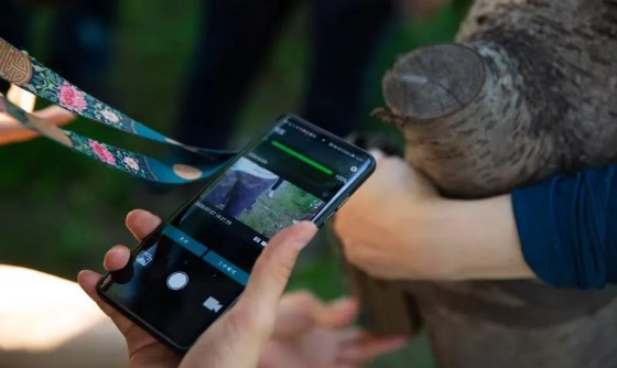 北京15岁女孩用红外相机捕捉刺猬、蒙古兔、野猫等城市精灵的身影(图7)