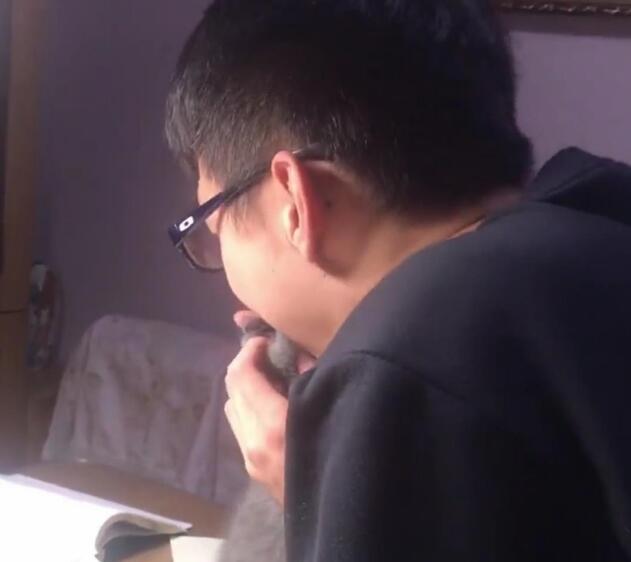 小猫咪一天每天提心吊胆 那个主人对它做这样的事情 几乎让人膛目结舌(图2)