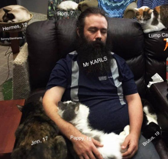 爱猫男子一手创办猫咪收容之家让老猫们有个温暖的家(图2)