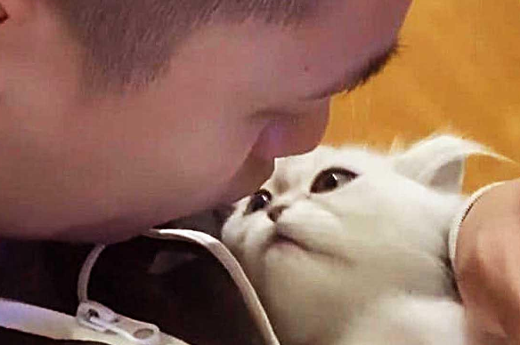 男子被猫咪亲吻后眉开眼笑 但它下一瞬间的举动 瞬间让他腹痛难忍(图1)