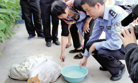 男子深夜偷猫遇警察逃命被抓猫肯定被卖到饭店(图1)