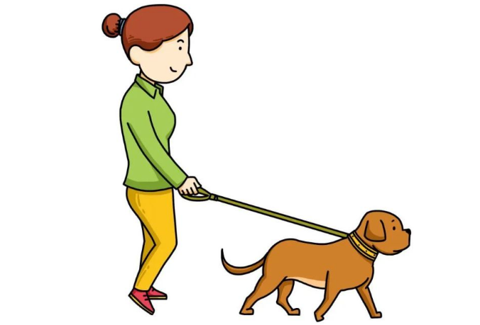 【世界狂犬病日】“撸猫撸狗”也要讲安全(图1)