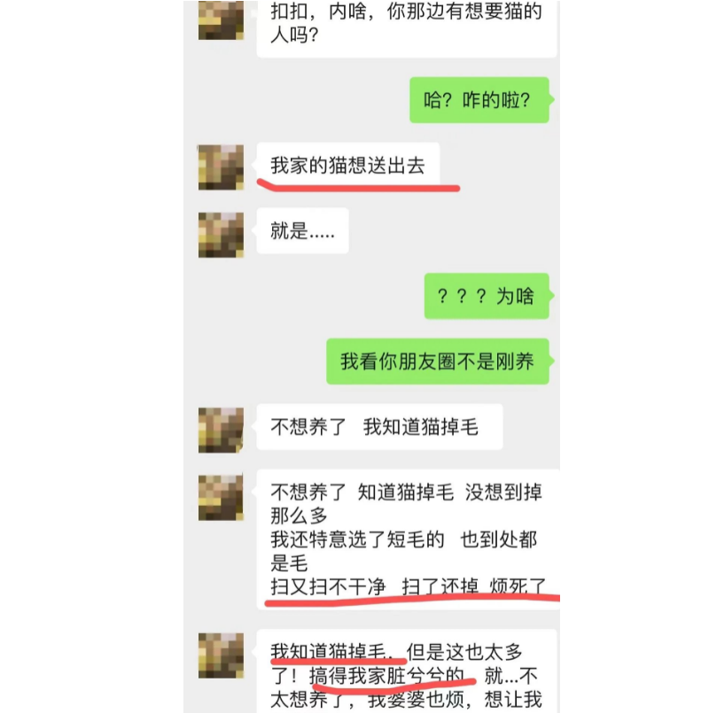 掉毛竟成狠心遗弃猫咪一大主因？这题总之很好解……(图1)