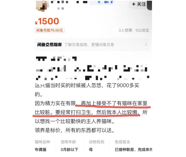 掉毛竟成狠心遗弃猫咪一大主因？这题总之很好解……(图2)