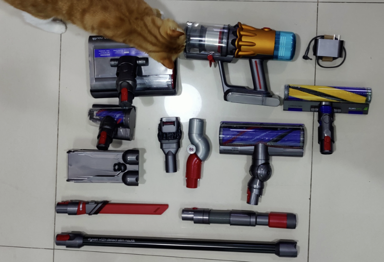 掉毛竟成狠心遗弃猫咪一大主因？这题总之很好解……(图10)