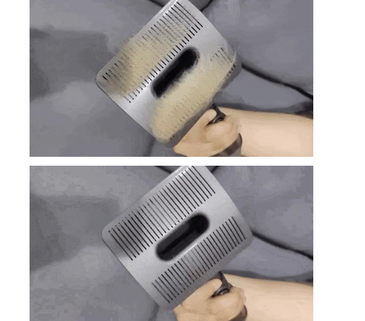 掉毛竟成狠心遗弃猫咪一大主因？这题总之很好解……(图16)