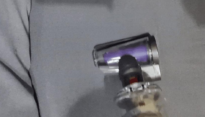 掉毛竟成狠心遗弃猫咪一大主因？这题总之很好解……(图22)