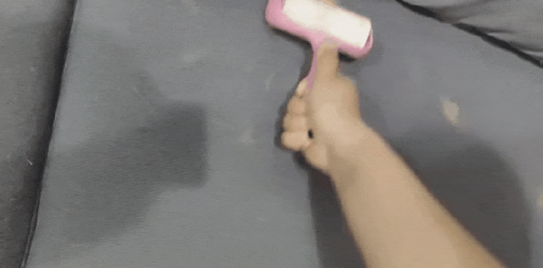 掉毛竟成狠心遗弃猫咪一大主因？这题总之很好解……(图21)