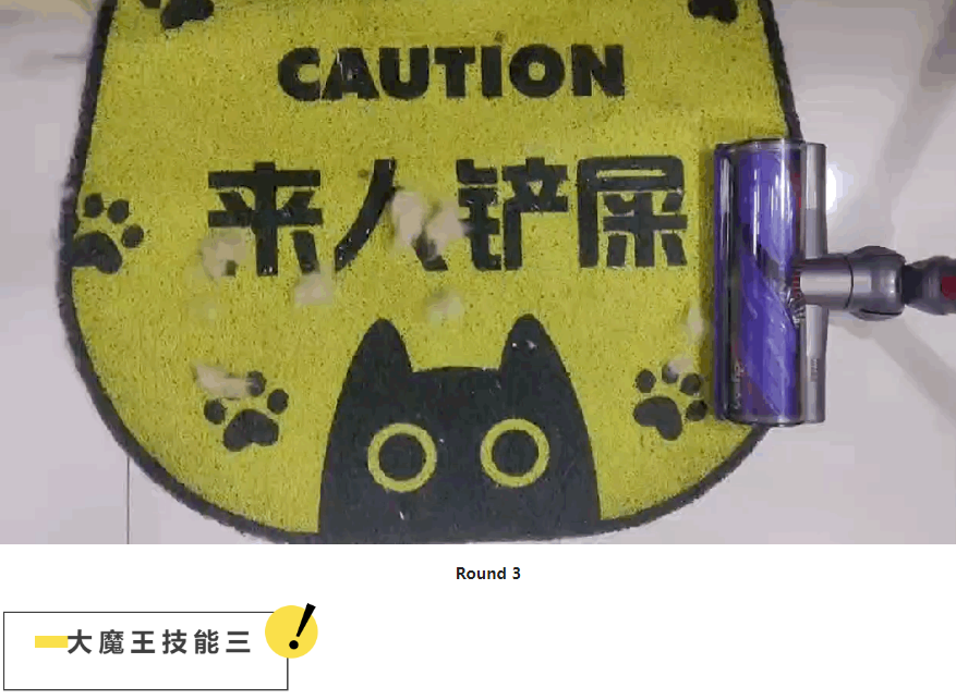 掉毛竟成狠心遗弃猫咪一大主因？这题总之很好解……(图24)