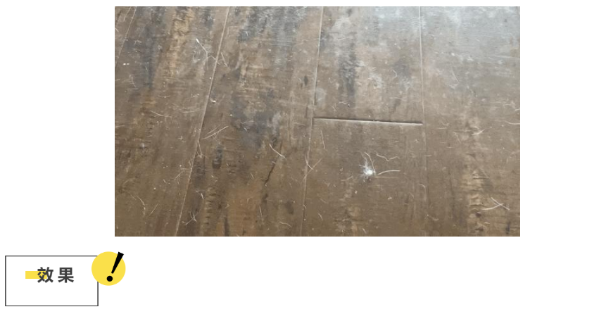 掉毛竟成狠心遗弃猫咪一大主因？这题总之很好解……(图25)