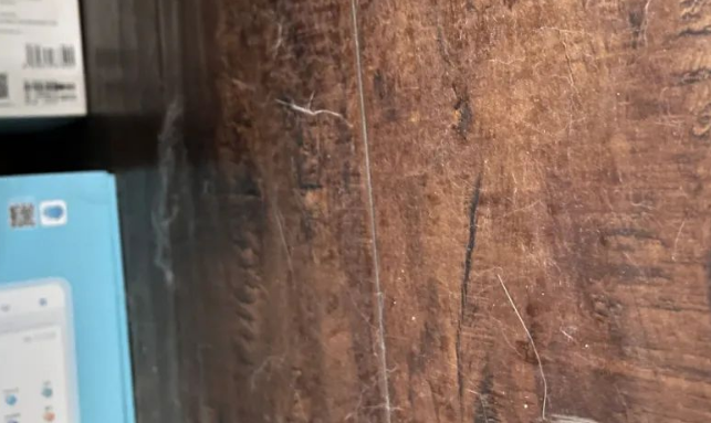 掉毛竟成狠心遗弃猫咪一大主因？这题总之很好解……(图27)