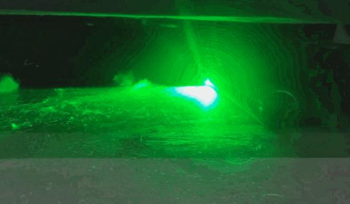 掉毛竟成狠心遗弃猫咪一大主因？这题总之很好解……(图28)