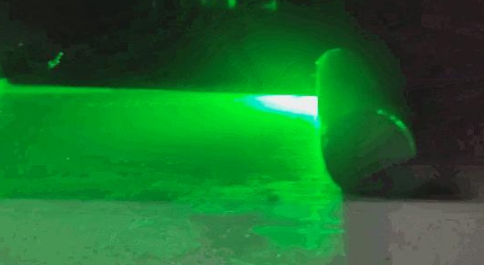 掉毛竟成狠心遗弃猫咪一大主因？这题总之很好解……(图29)