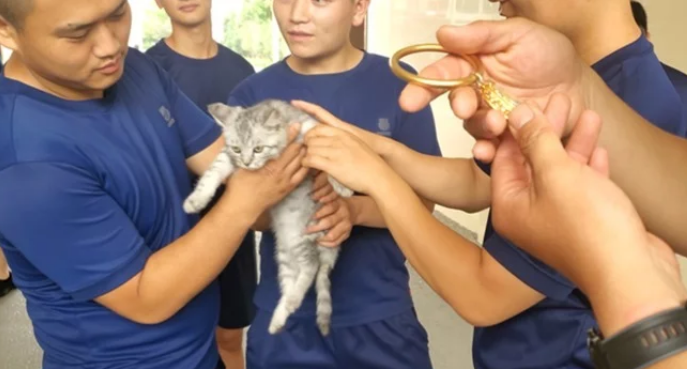 猫头被手镯卡住了 消防员却口中发出灵魂拷问保猫应该保镯子(图1)