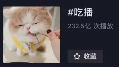 狗吃西餐、猫吃龙虾千万参与的宠物吃播是什么好生意(图1)