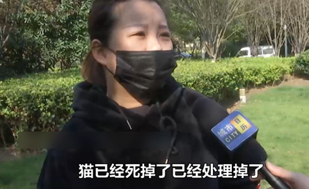 高价买来宠物猫4天就死了商家却这样的话请解释……(图1)