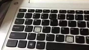 猫咪抠坏键盘 小主人赶回案发现场已站立不稳拯救 小猫咪委屈到哭(图2)