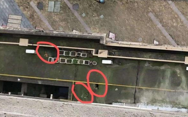5只猫被主人跌死已然谣言!事情真相让人痛心(图1)