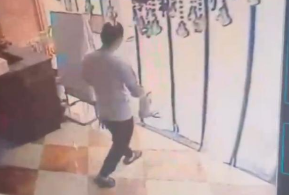 男子带宠物猫住酒店被丢 索赔遭拒!商家:认为是流浪猫(图1)