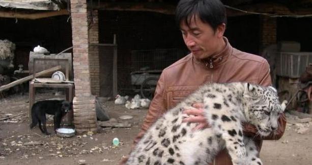 牧民丢过两只猫带回来家 可是养着养着感觉不对劲:这猫咋这么大大(图3)