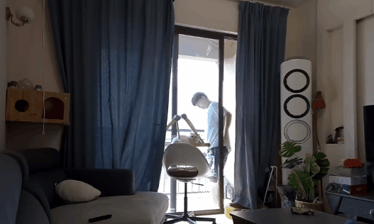 铲屎官去阳台透气好 却残遭猫咪背后暗算…(图1)