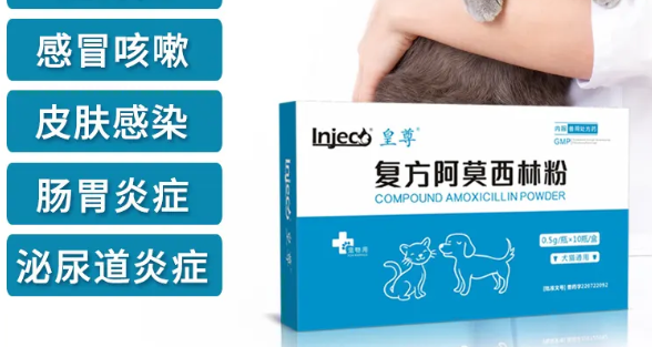 猫是可以吃阿莫西林消炎药吗(图1)