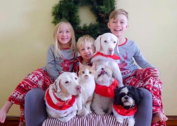 小儿子的出生彻底治愈受了伤的狗狗 到那时自动打开三娃四狗两猫的美好生活(图1)