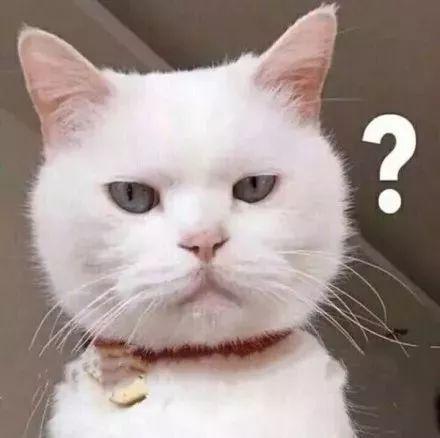 猫咪身上常见的寄生虫有哪些？已经感染寄生虫的猫咪如何治疗？(图10)