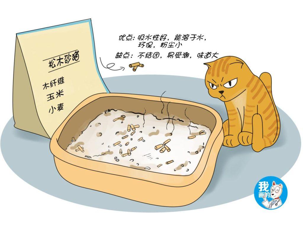 猫砂真的那么好吗？五种猫砂优缺点可以了解一下(图7)
