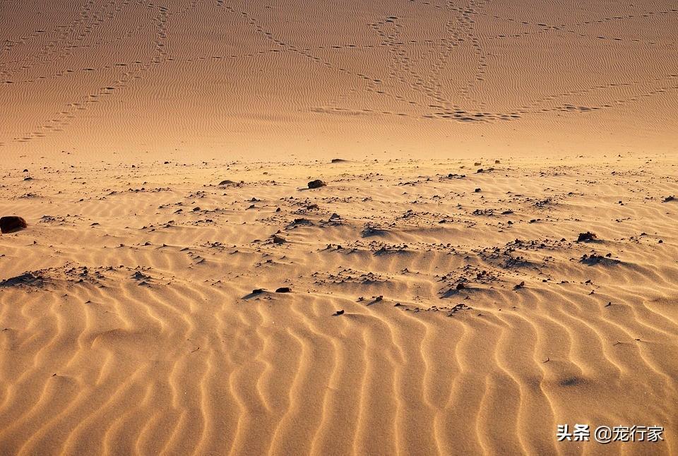 哪种猫砂更适合猫？铲屎官使用起来更顺手？选择猫砂需要关注五点(图2)